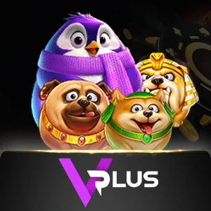 vplus -  betplay138
